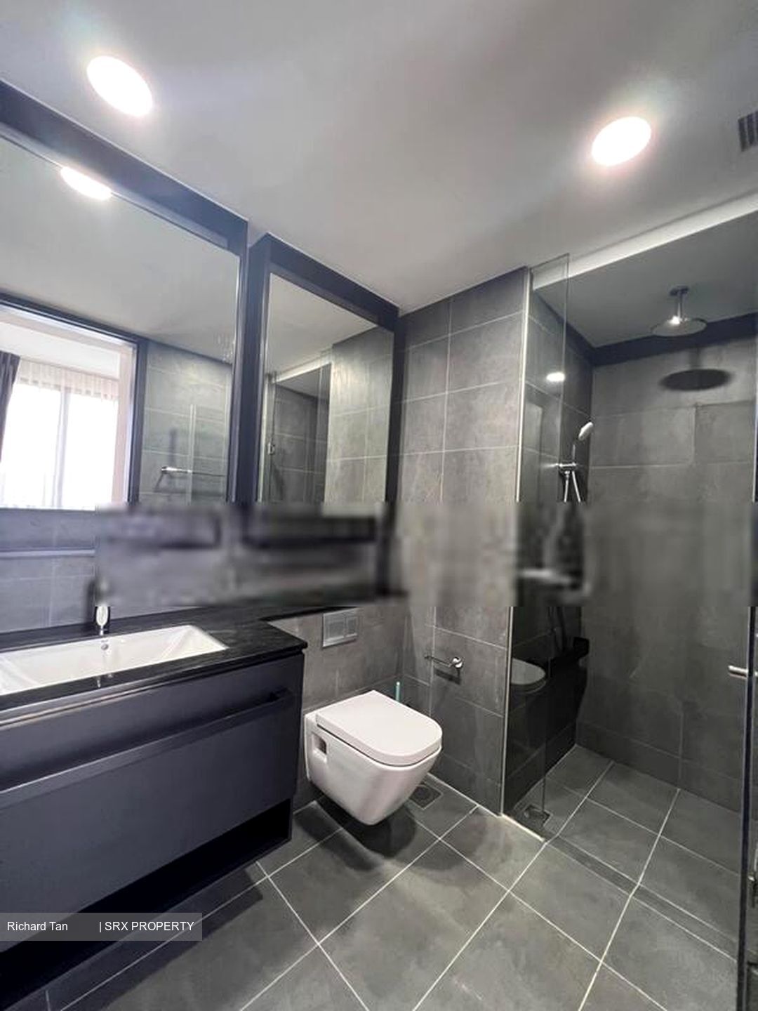 Park Colonial (D13), Condominium #412545491